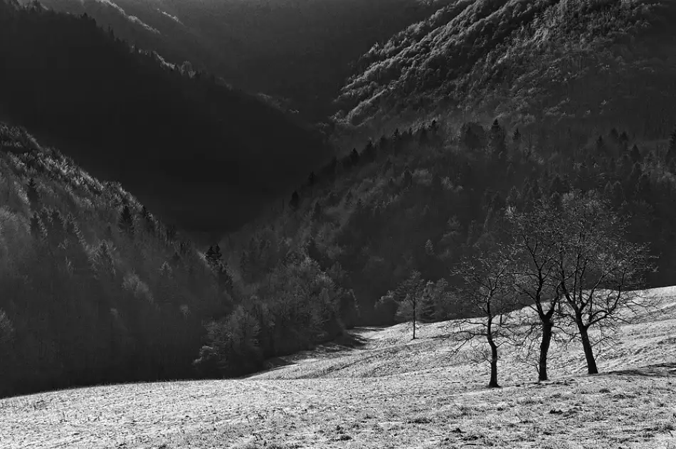 Kravanja, Jure: Trio