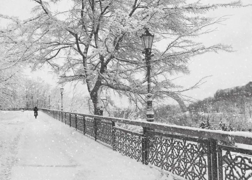 Kiyashko, Alexander: Invierno en Kiev