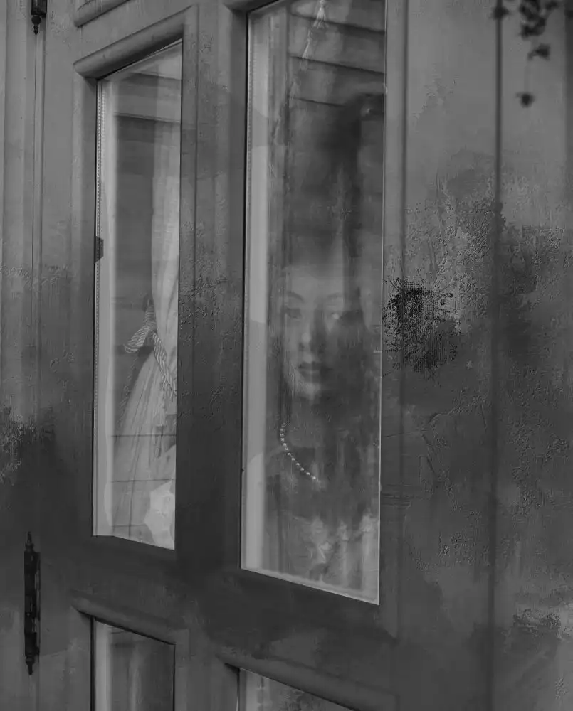 Pansky, Rachel: La misteriosa dama a través de la ventana.