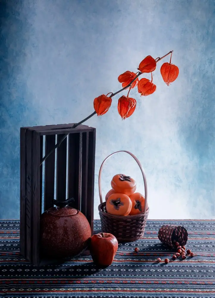 GaoSL: Fruits