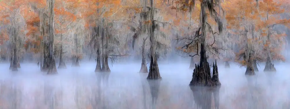 Zhu, Hua: Caddo Lake