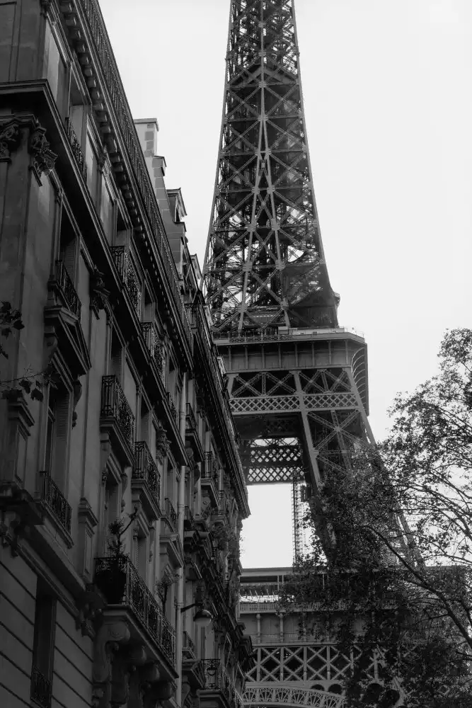 Studio, Pictufy: Tour Eiffel - Torre Eiffel
