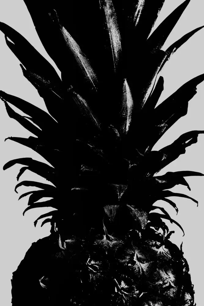Studio, Pictufy: Ananas sw