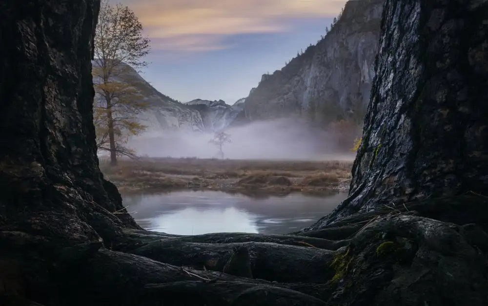 Zhang, Joan: A foggy morning in Yosemite