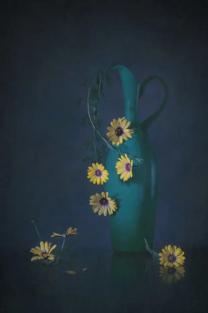 Jacobs, Lydia: Margherite gialle