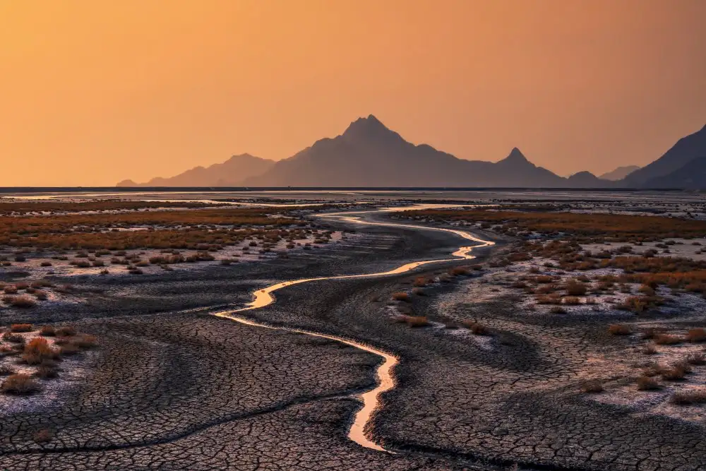 Seo, Tiger: Drought