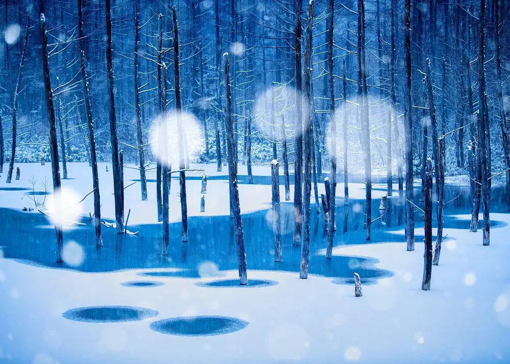 Sono, Hidenori: Fairyland