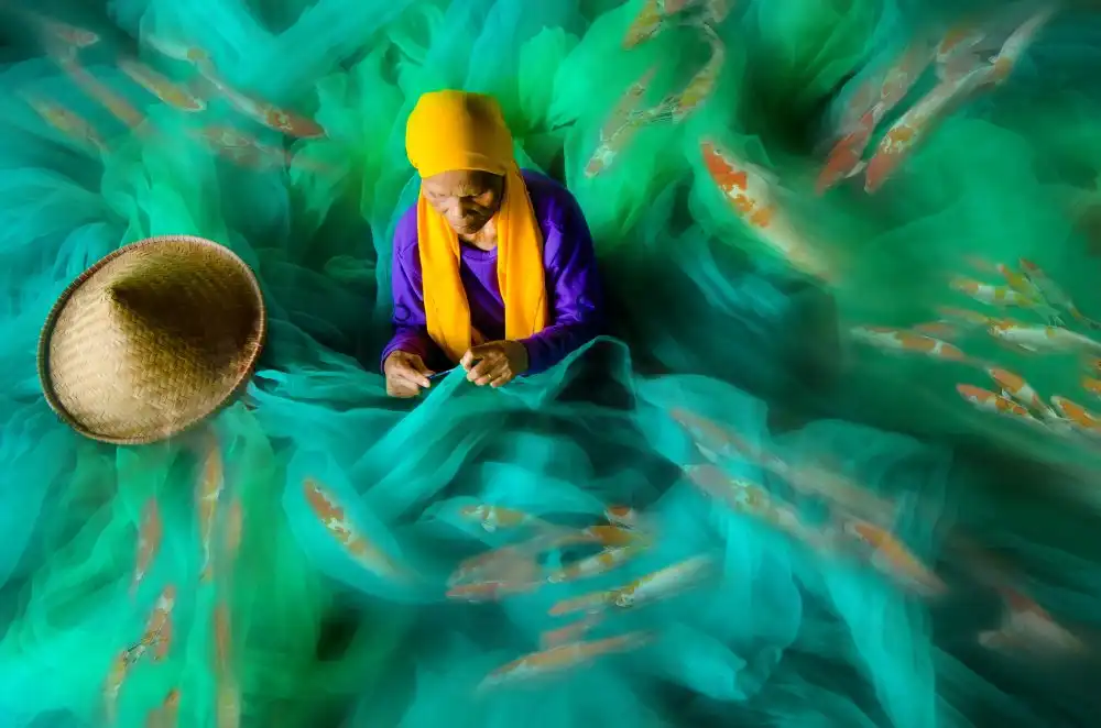Aditya, Rawisyah: Imaginary fishes on the net