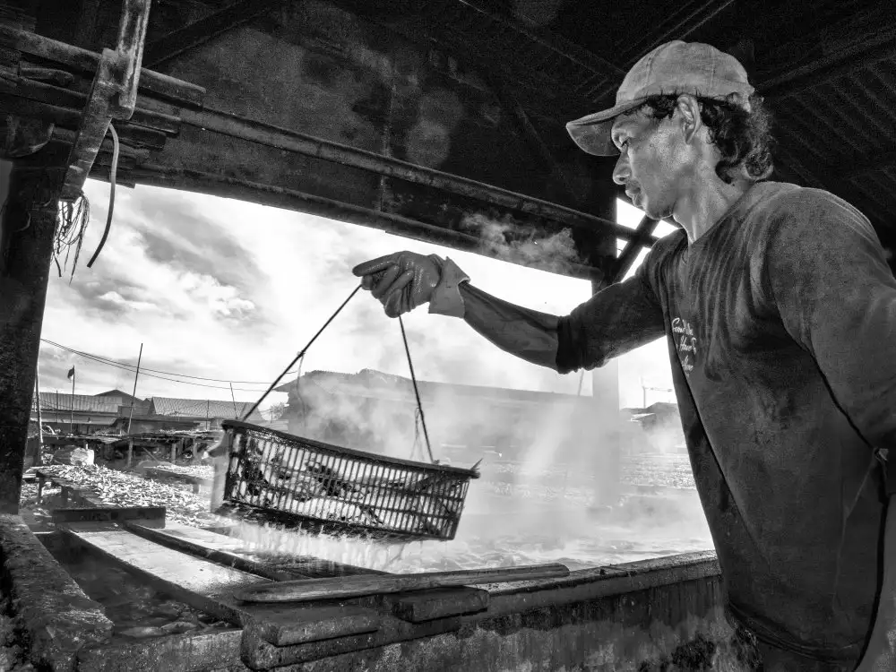 Bunjamin, Antonyus: Sacar pescado al vapor