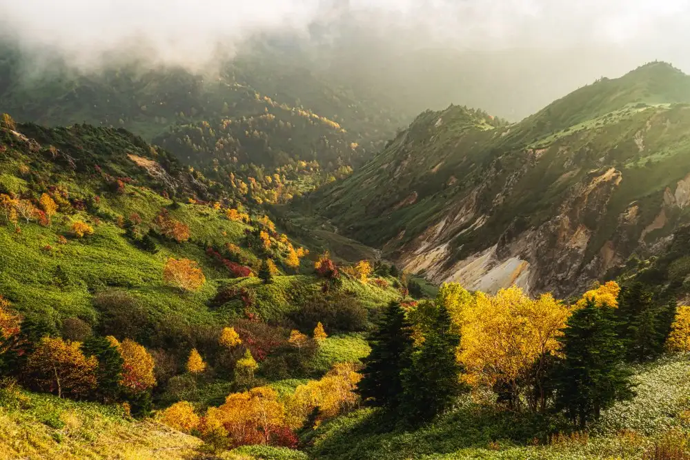 Hisamitsu, Yuusuke: Alpine autumn.