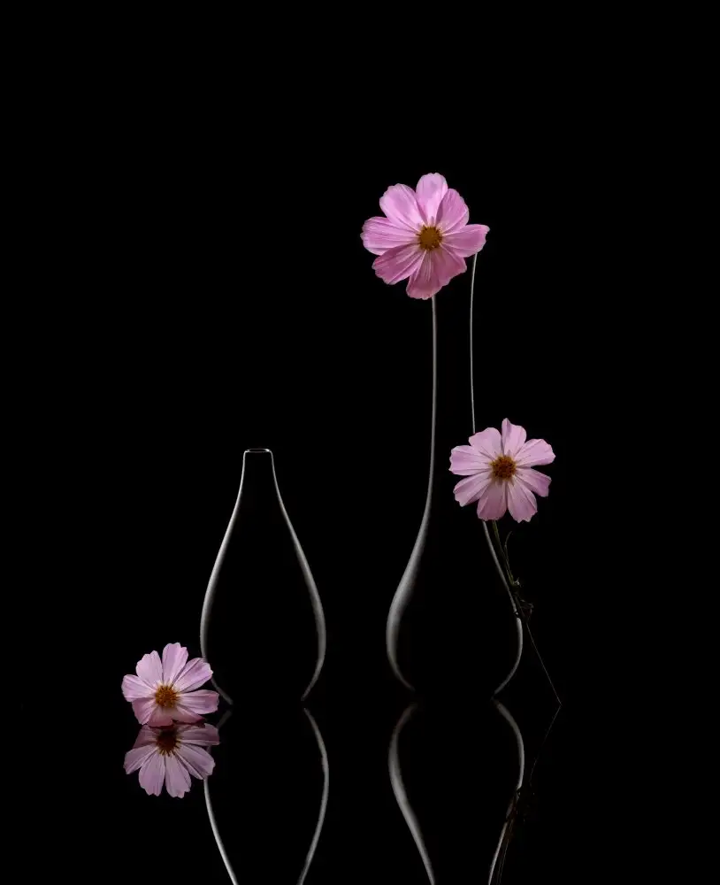 Suo, Jasmine: Flowers and vases