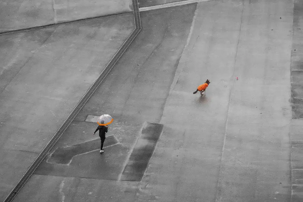 Urrutia, Adolfo: Arancione sulla diagonale