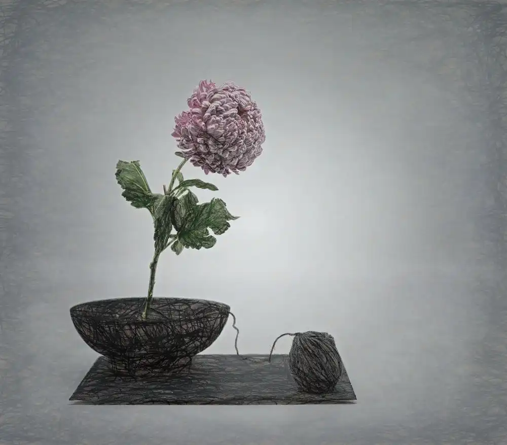 Dingemans, Saskia: Impressione Zen con fiore di crisantemo e un tocco in più.