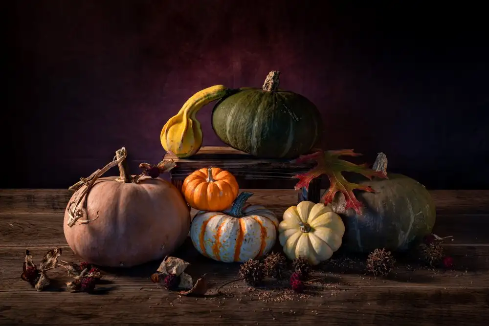 Xu, Xiaoyuan: Pumpkin Music-1