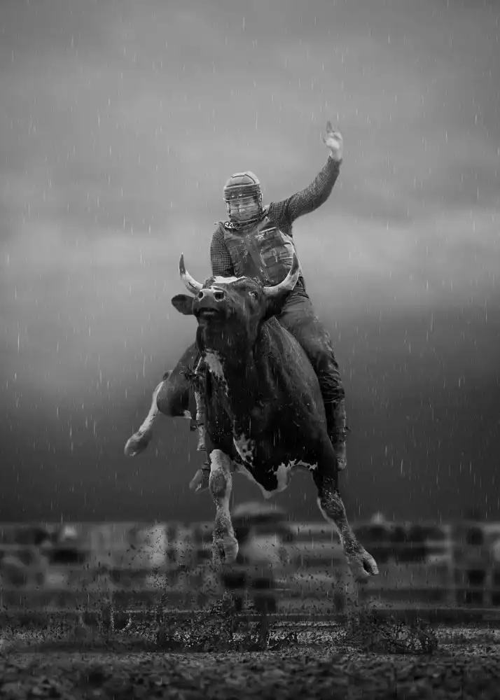 little7: Bull Riding  Ontario #2