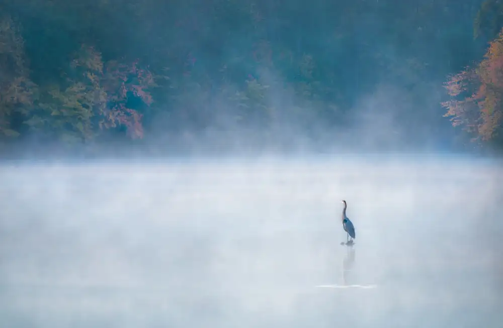 Yang, Jianping: The Guardian of Lake Johnson