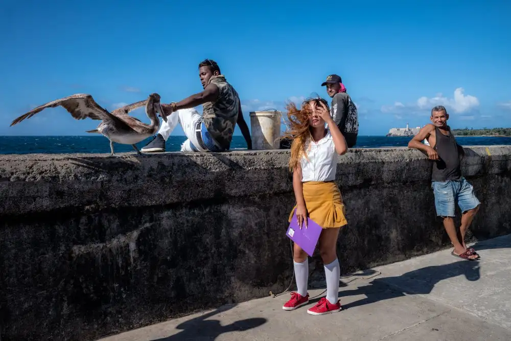 Cowle, Elizabeth: L'histoire du Malecón