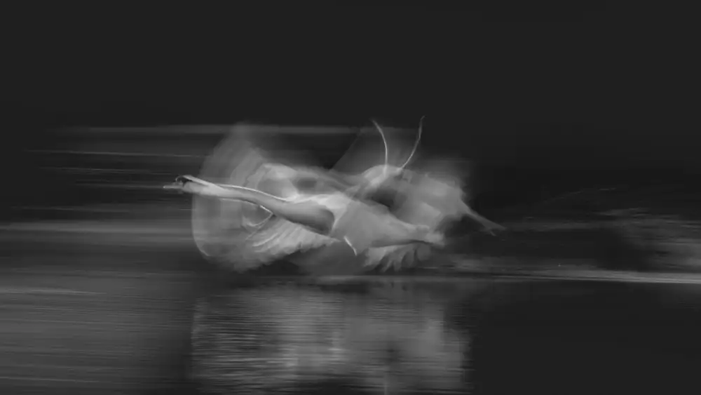 Zhang, Joan: Taking off