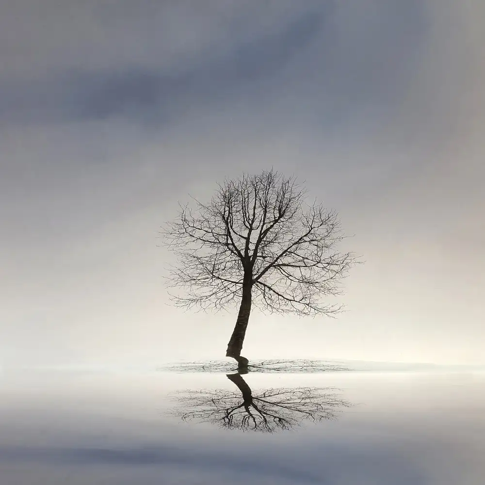 Limberg, Huib: All alone with my reflection