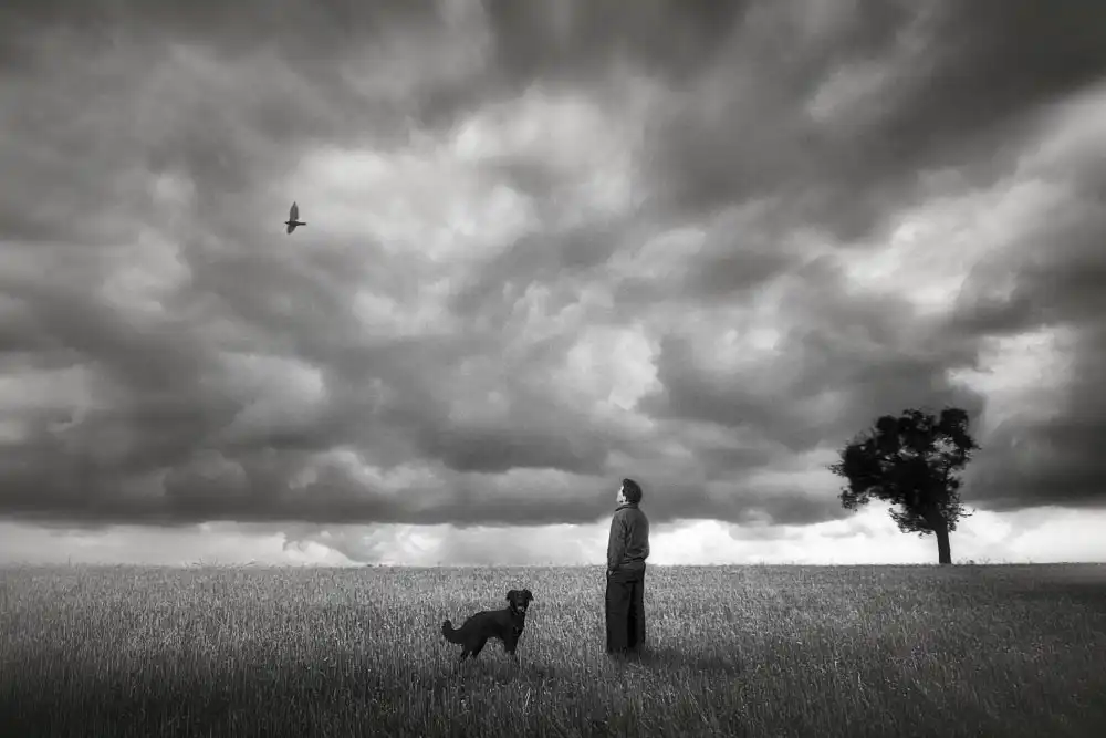 Droste, Holger: on the Field II