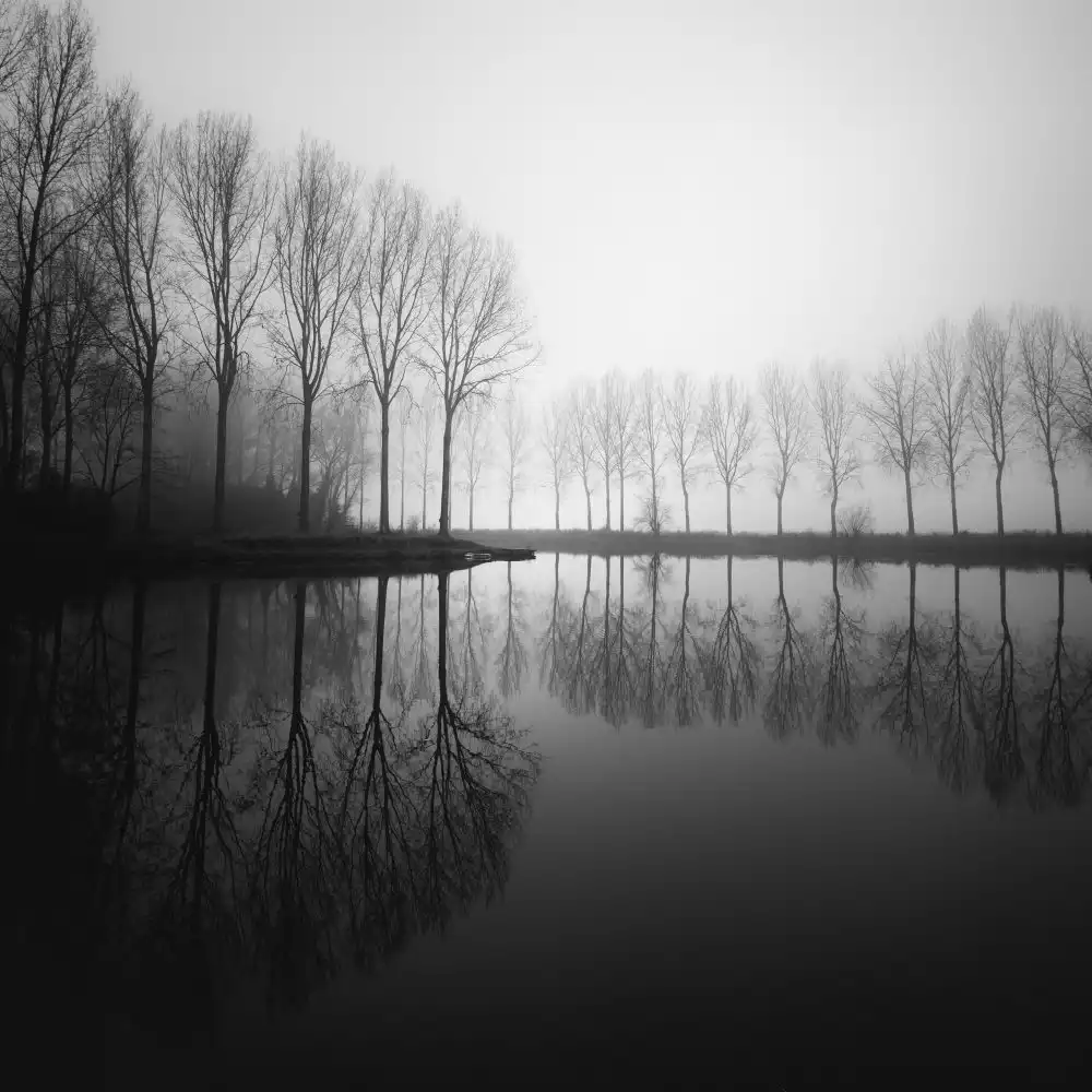 Staelens, Christophe: In dreams