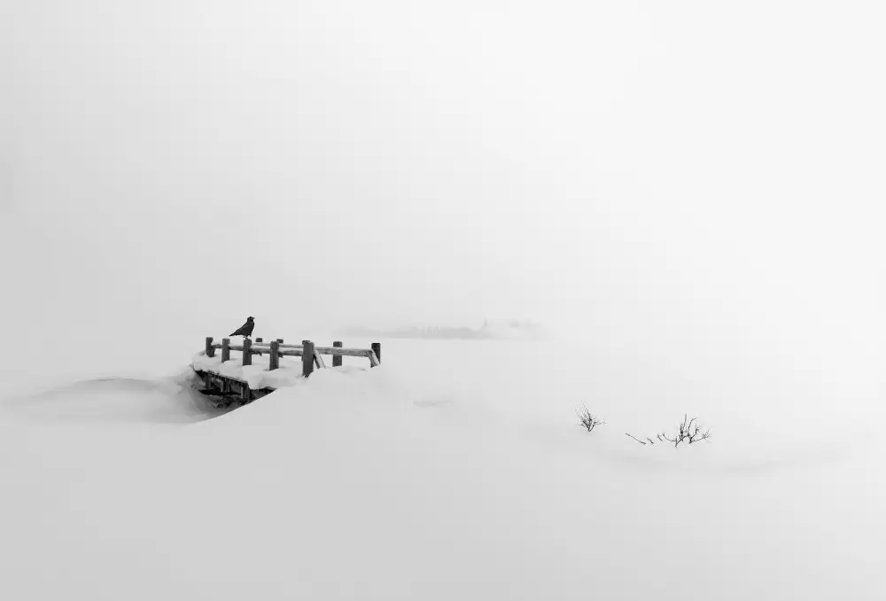 Zhang, Dennis: Ponte,corvo e neve