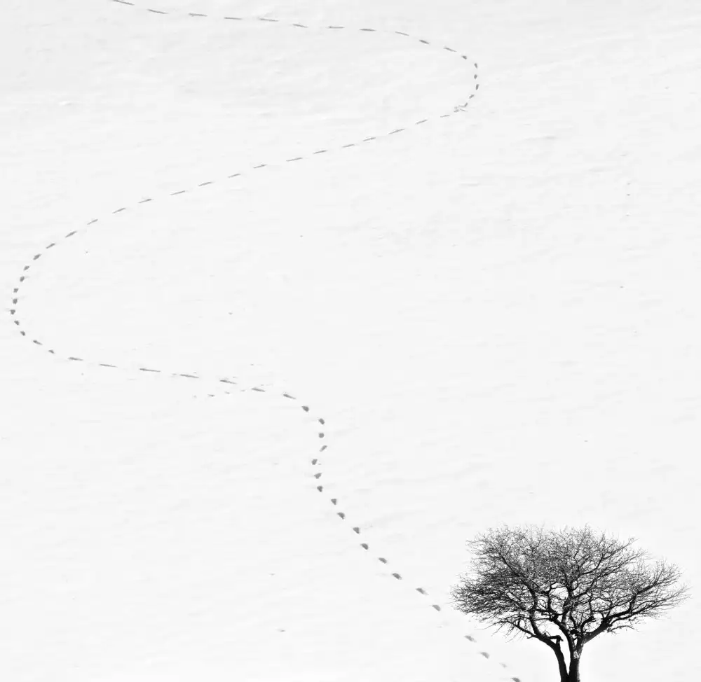 Nodeh, Mostafa: orma