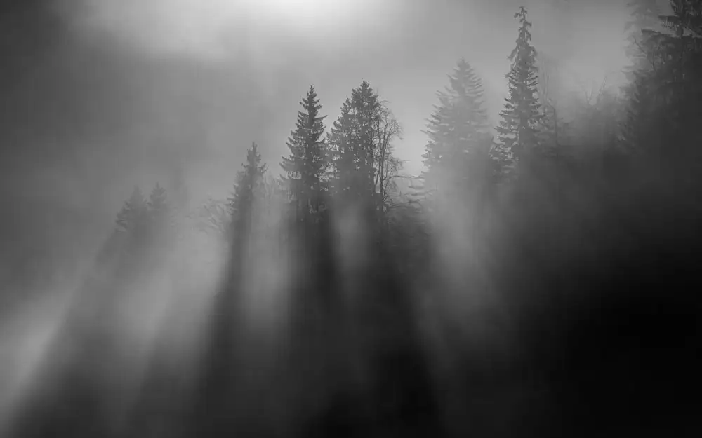 Dauer, Andy: Wintersonne