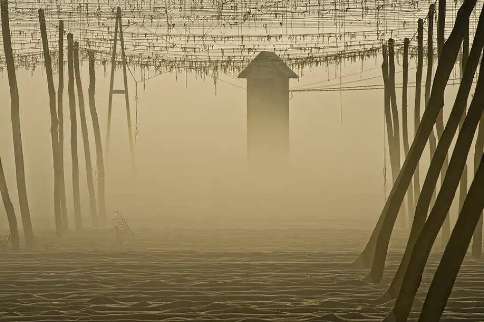 Kravanja, Jure: Morning in lines