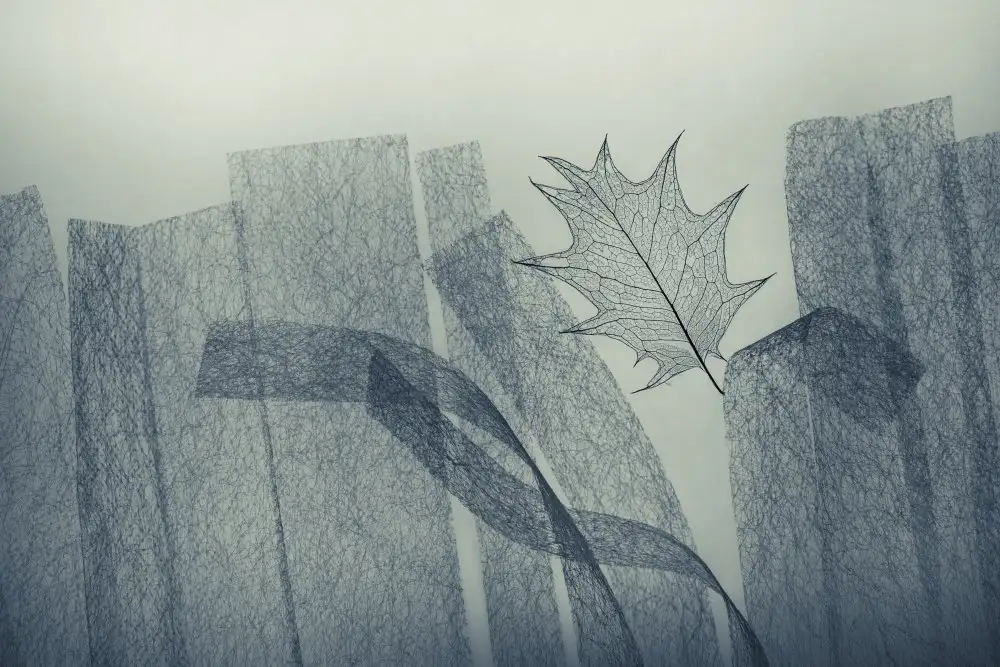 Kowatari, Shihya: Leaf