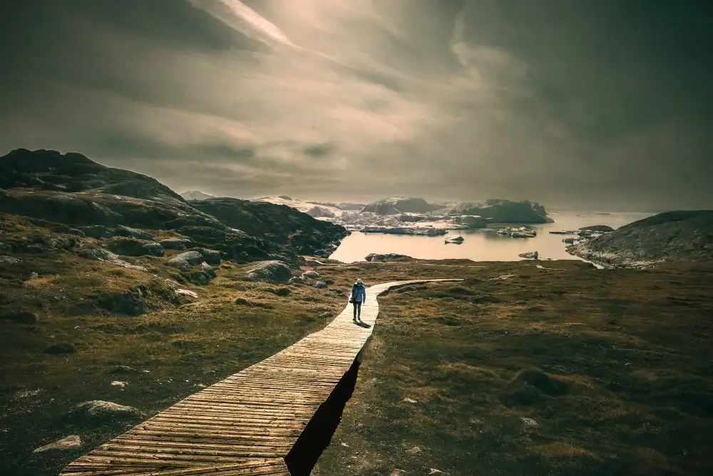 Chan, Z. Jamie: The Road