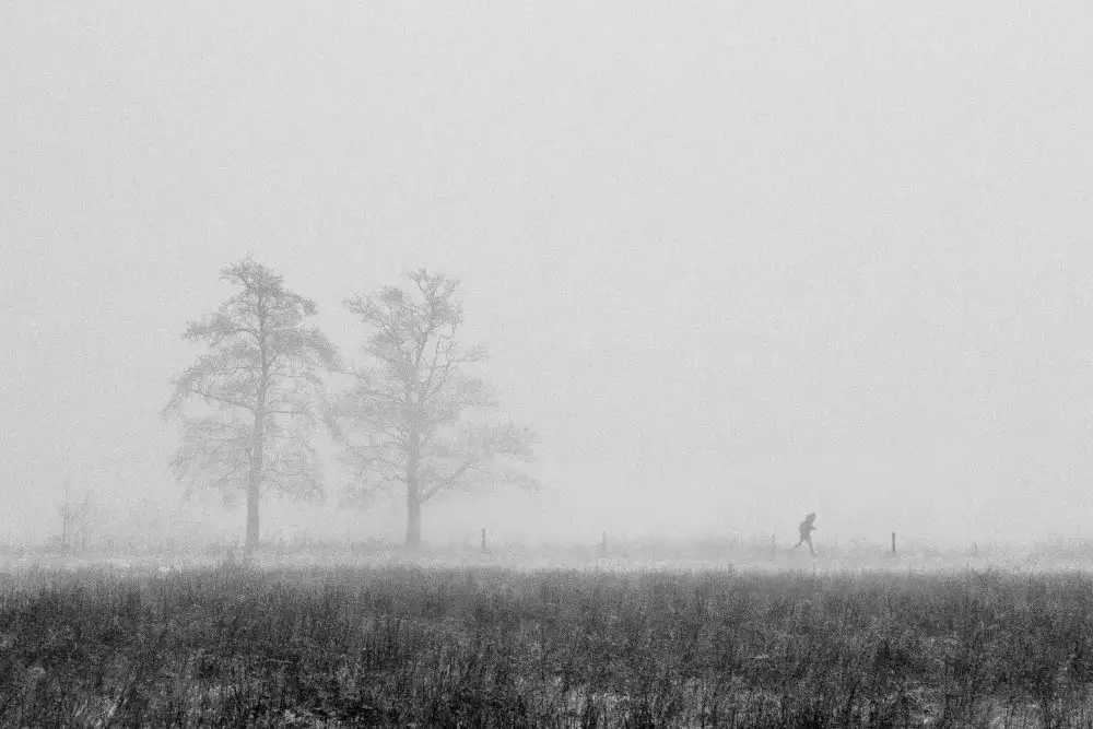 Cinteza, Marius: Horezu (Romania), December 2021