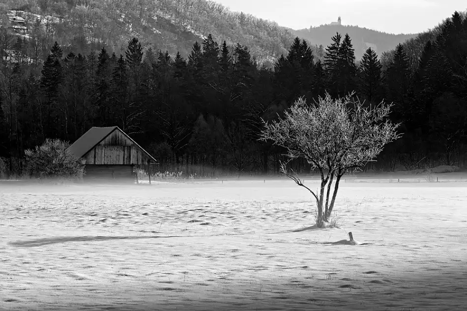 Kravanja, Jure: Inverno