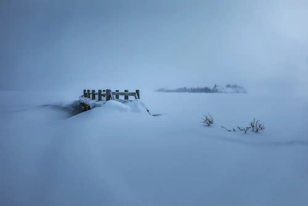 Xu, Wendy: Kleine Woodbridge nach Schnee