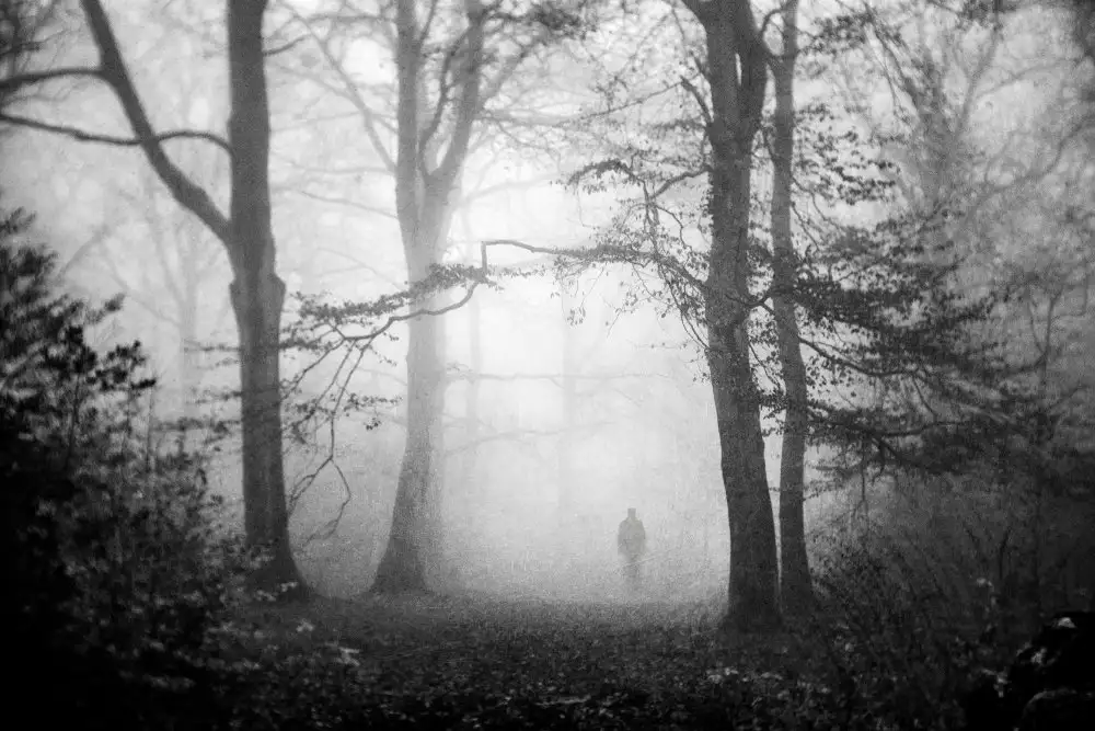Dauria, Adam: Visioni di una foresta