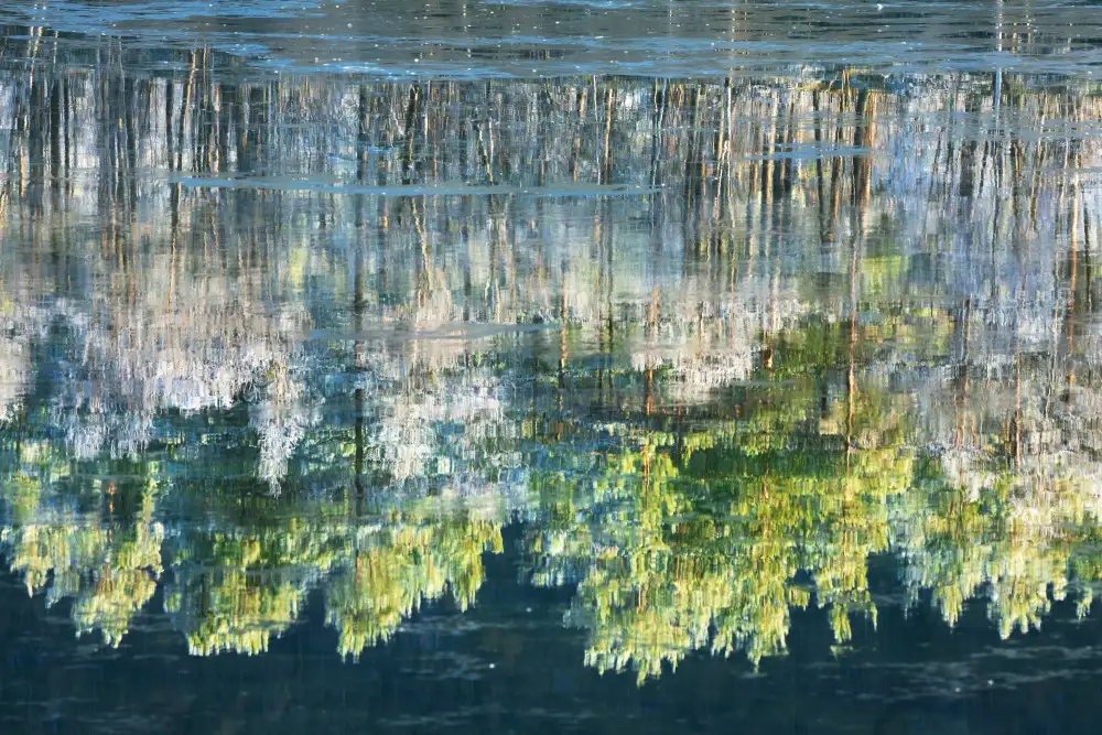 Gastager, Daniel: Reflected Artwork