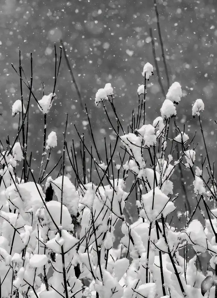 Erkmen, Ugur: Happy New Year