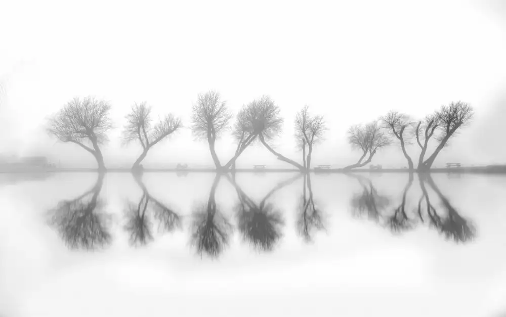 Qiu, Jenny: Gli alberi