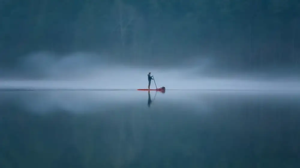 Yang, Jianping: Symmetry in the Fog