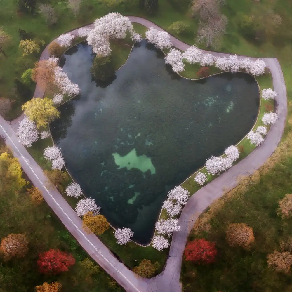 Lu, Ling: The Heart of Spring