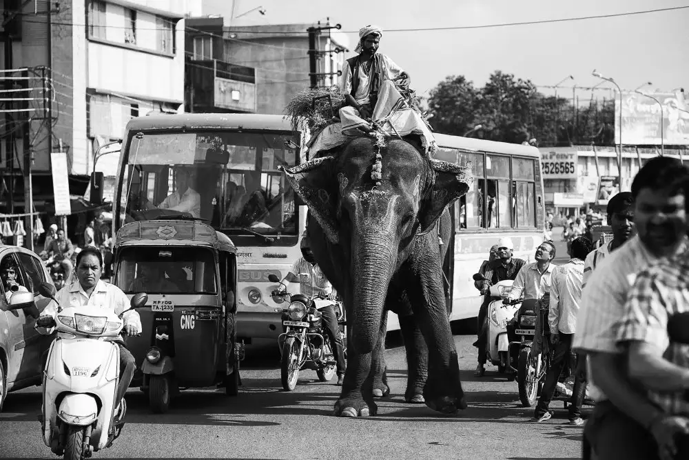 Hoey, John: Traffic Jam