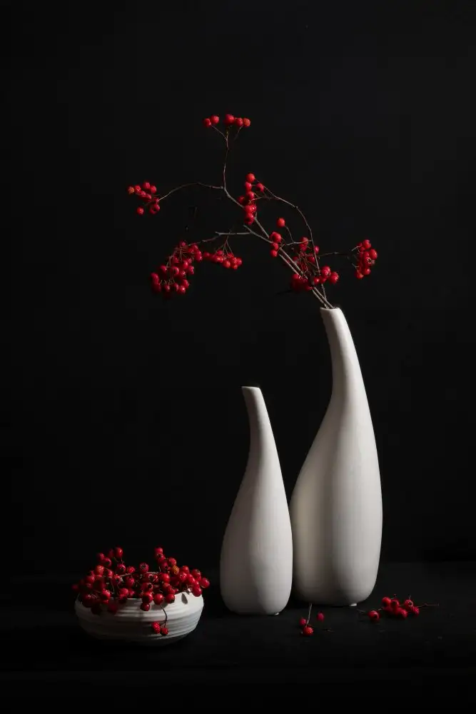 Xu, Xiaoyuan: Red Beans