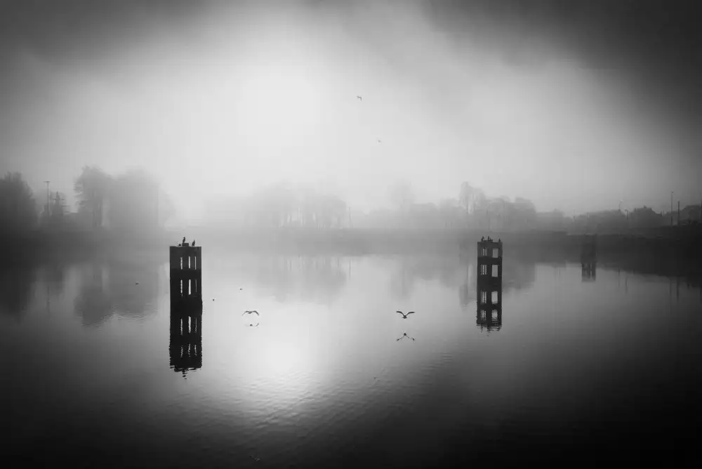 Staelens, Christophe: In the misty morning