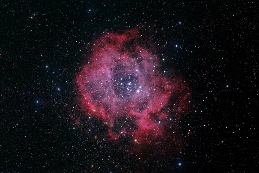 Zhao, Henry: Rosette Nebula
