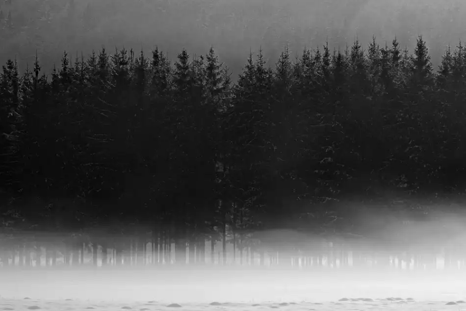 Kravanja, Jure: Inverno