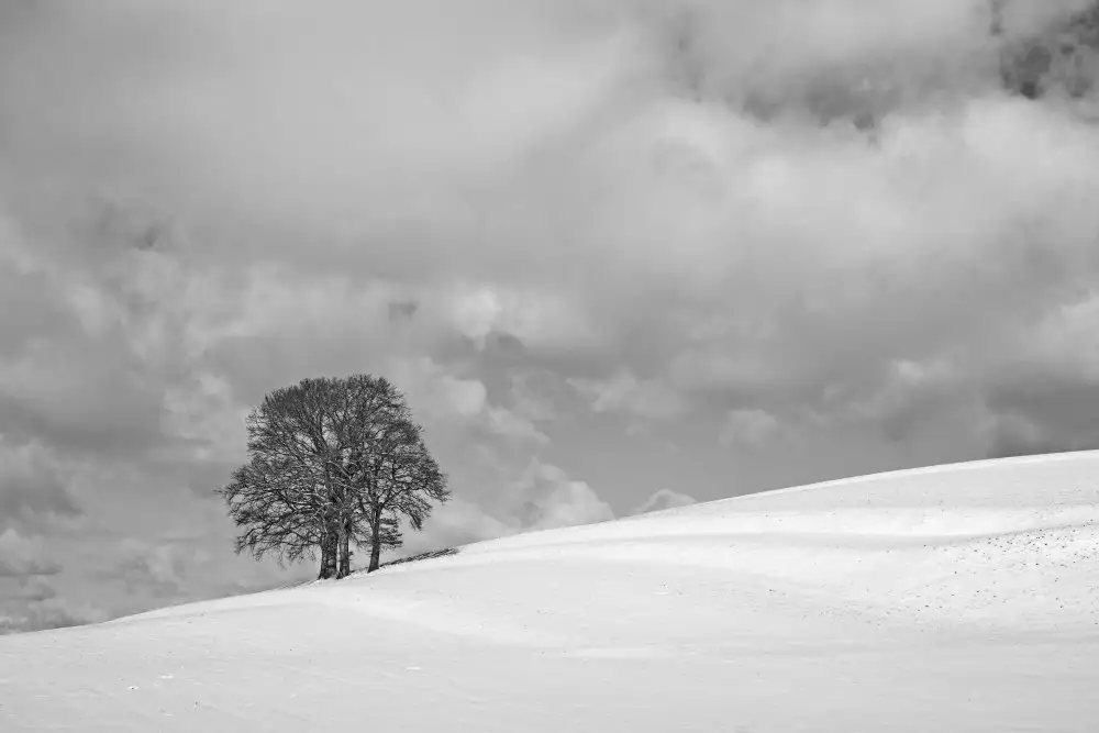 Rank, Peter Hans: Una giornata invernale nuvolosa