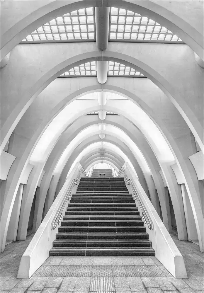 Houte, Van Jef: Lignes Calatrava