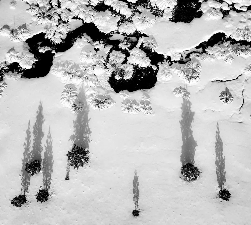 Darby, Rob: La forme de l'hiver
