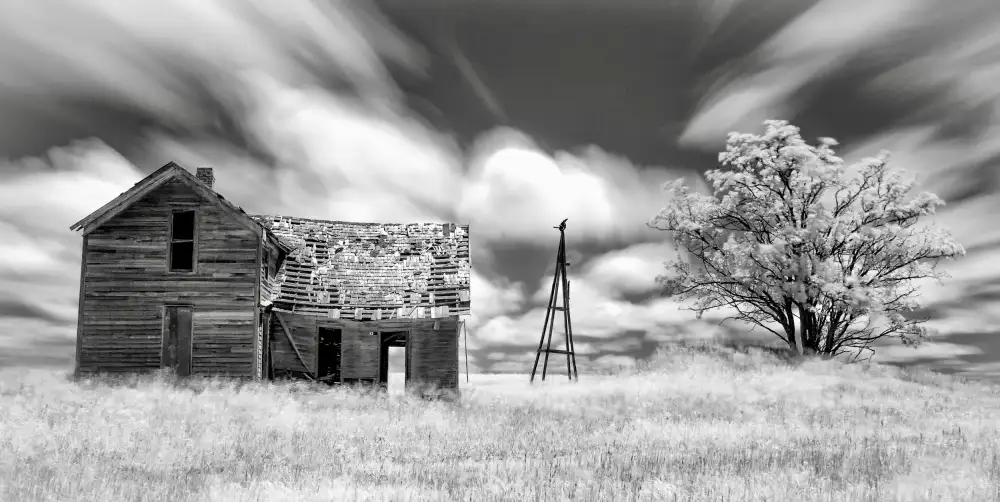 Darby, Rob: Abandonné (IR)