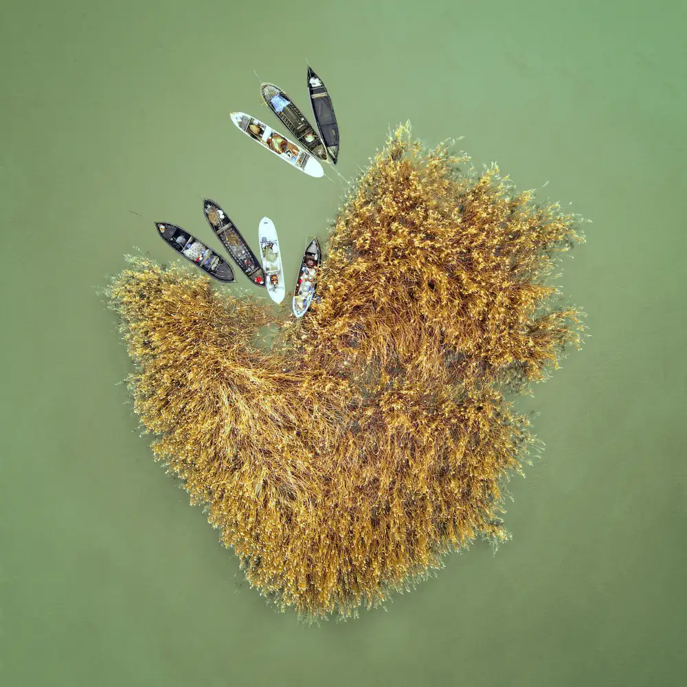 Şener, Savaş: Heart island